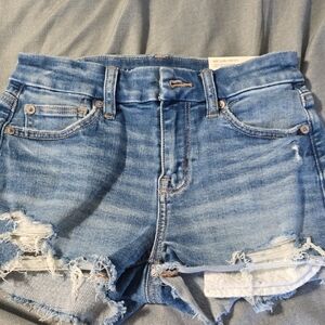 American Eagle Outfitters Blue Jean Shorts